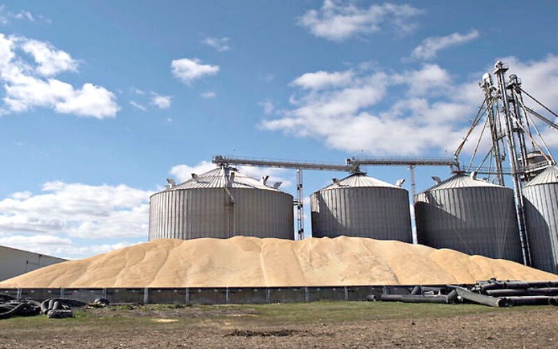 Lancement des projets de réalisation de 189 centres de stockage des céréales de proximité