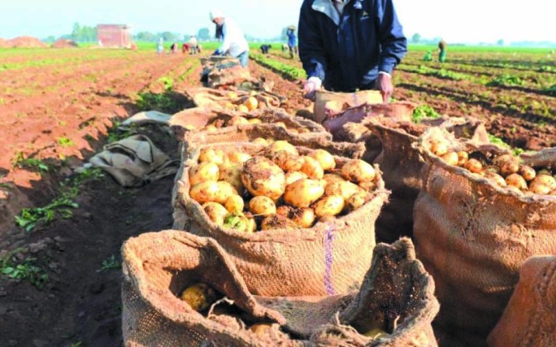 Concessions agricoles : mise à jour des conditions d’accès au portefeuille de l’ONTA